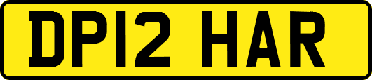 DP12HAR