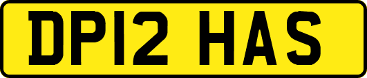 DP12HAS