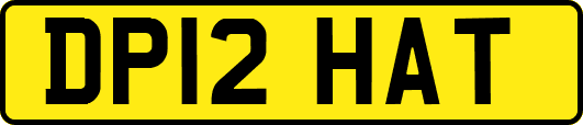 DP12HAT