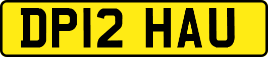 DP12HAU