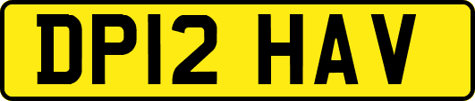 DP12HAV