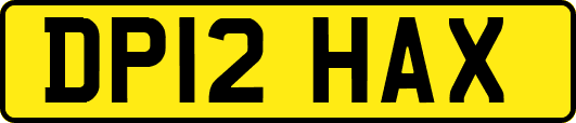 DP12HAX