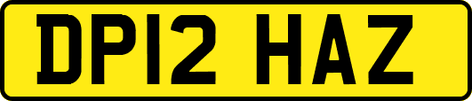 DP12HAZ