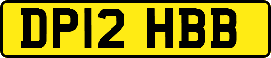 DP12HBB