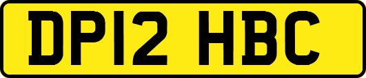 DP12HBC