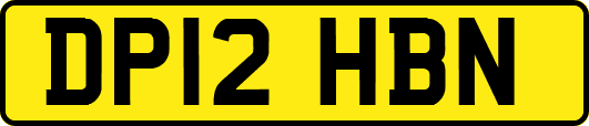 DP12HBN