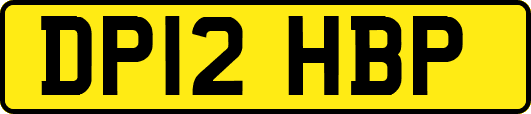 DP12HBP