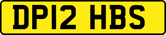 DP12HBS