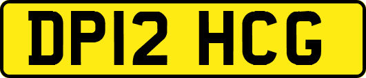 DP12HCG