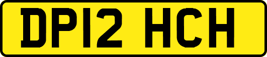 DP12HCH