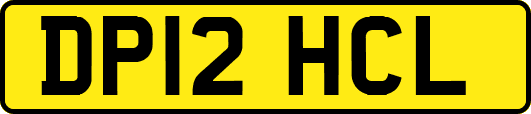DP12HCL