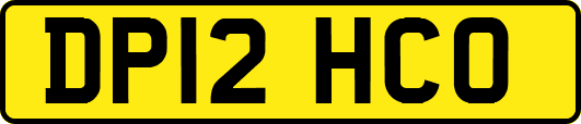 DP12HCO
