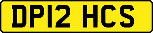DP12HCS