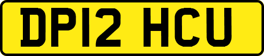 DP12HCU