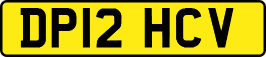 DP12HCV