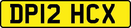 DP12HCX