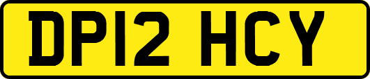 DP12HCY