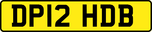DP12HDB