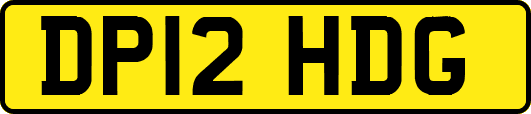 DP12HDG