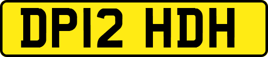 DP12HDH
