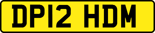DP12HDM