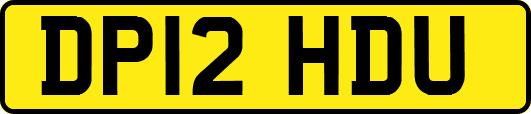 DP12HDU