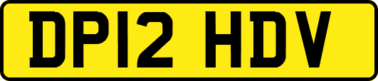 DP12HDV