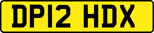 DP12HDX