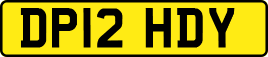 DP12HDY