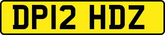 DP12HDZ