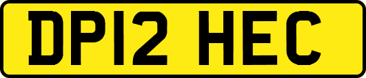 DP12HEC