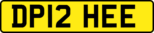 DP12HEE