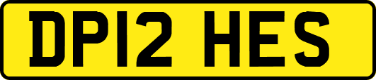 DP12HES