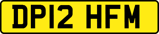 DP12HFM