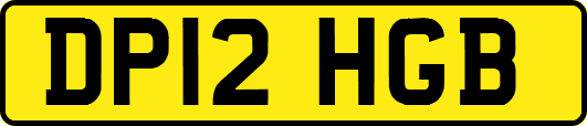 DP12HGB