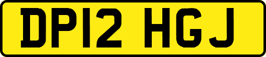 DP12HGJ