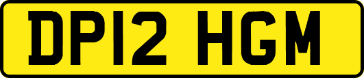 DP12HGM