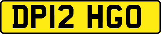 DP12HGO
