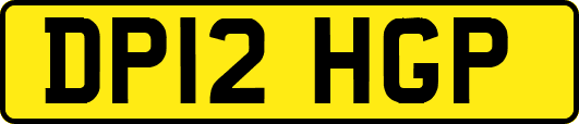 DP12HGP