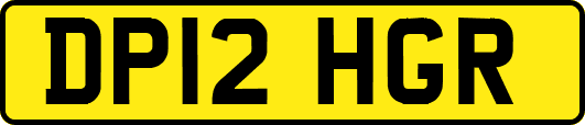 DP12HGR