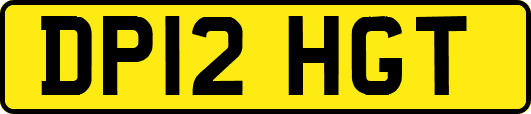DP12HGT