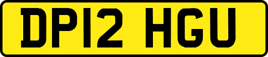 DP12HGU