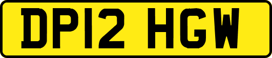 DP12HGW