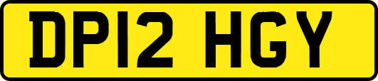 DP12HGY
