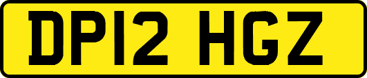 DP12HGZ