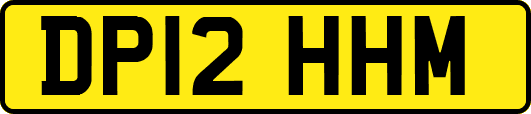 DP12HHM