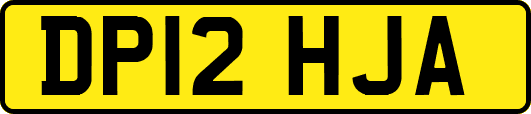 DP12HJA
