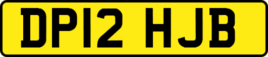 DP12HJB