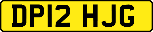 DP12HJG