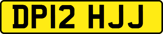 DP12HJJ